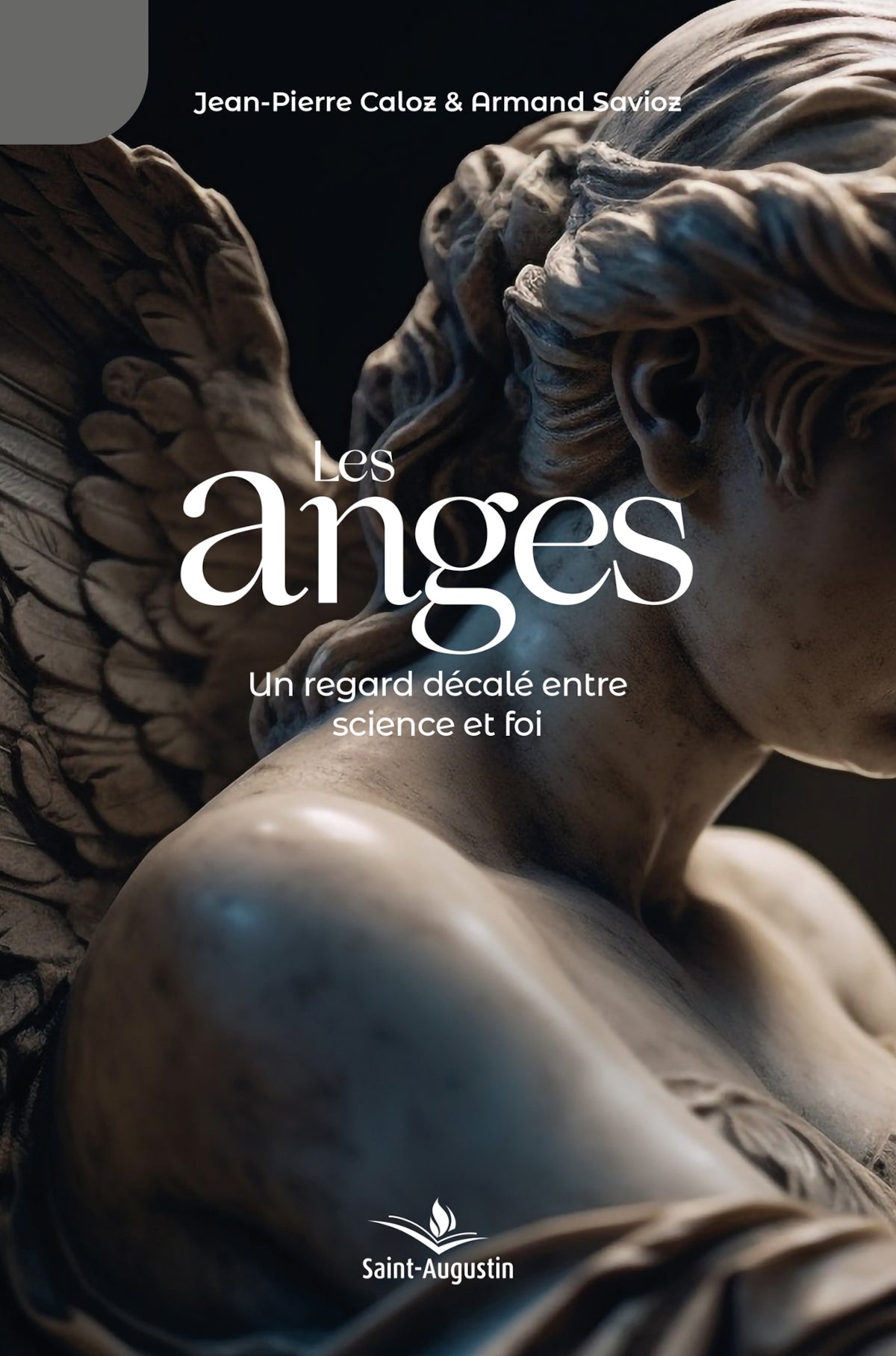 Mgr André Perraudin – Sous la direction de l'Association internationale des Amis de Mgr Perraudin